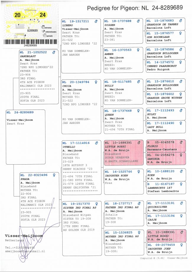 Pedigree