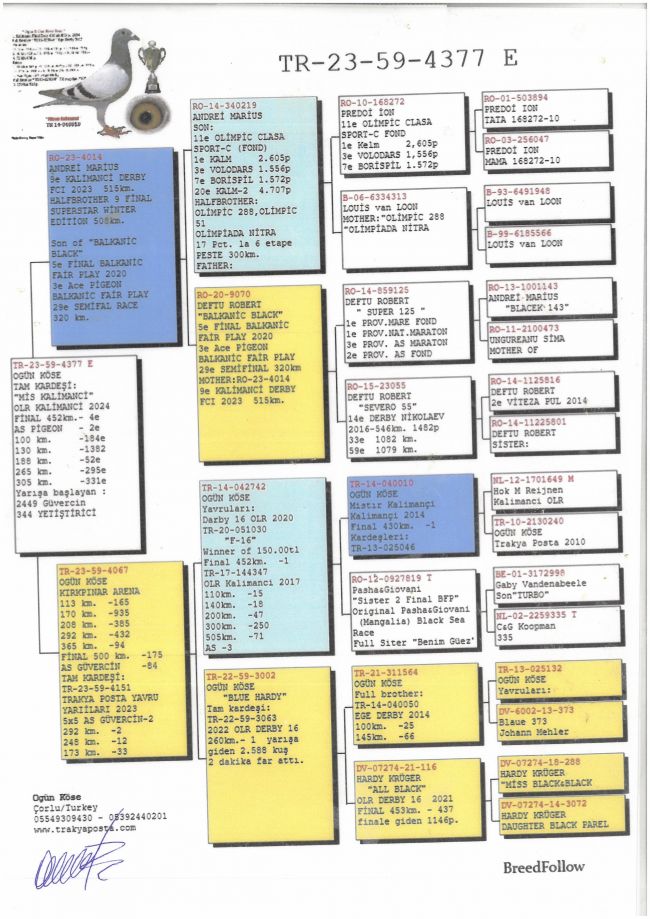 Pedigree