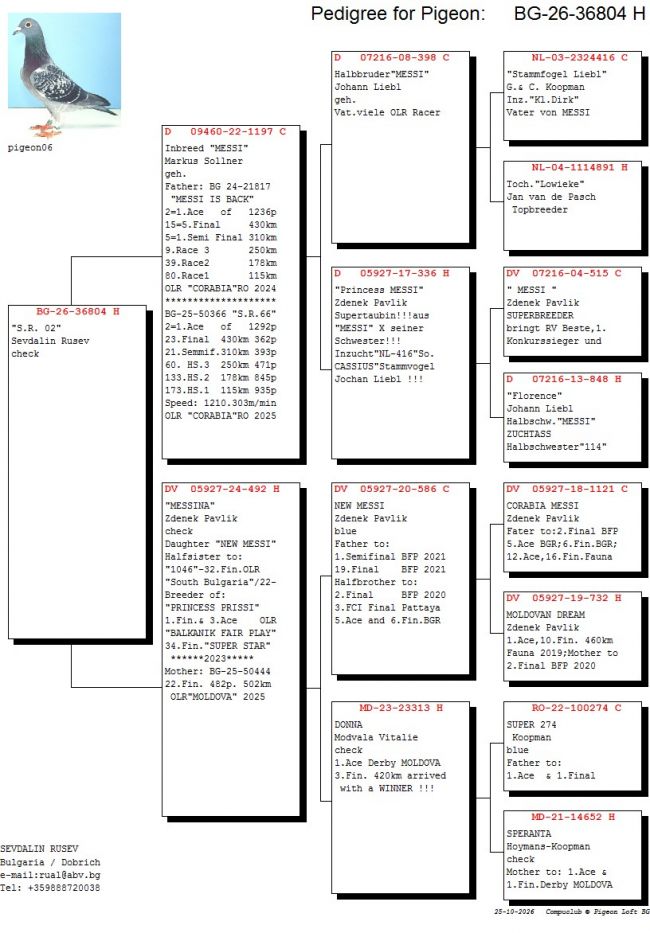 Pedigree