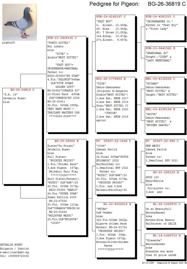 Pedigree