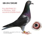 Pigeon auction 1970-01-01