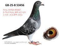 Pigeon auction 1970-01-01